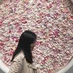 Eva Hui - @evahui0_0 - Instagram