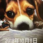 Eva Hui - Facebook