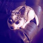 Eva Hull - @evahull6 - Instagram
