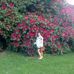 Eva Martinez Hull - Facebook
