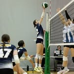 Evan Hull - @evanhullvolleyball - Instagram
