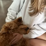 lauren hurley - @laurenevahurley - Instagram