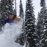Evan Husted - @evan__husted - Instagram