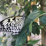 Eva Irwin - @eva__irwin - Instagram