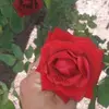 evanisleyrezende1 - @evanisleyrezende1 - TikTok