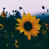 evaiison - @evaiison - TikTok
