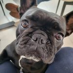 Eva izzo - @eva_izzo71 - Instagram