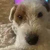 Eva Jacobsen - @eva.jacobsen1 - TikTok