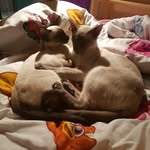 Eva jacques - @evajacques1 - Instagram