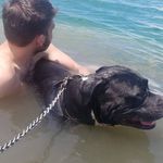 Evan Jamison - @evan_jamison_ - Instagram