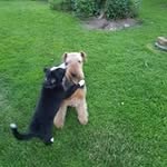 Eva Jansson - @eva.jansson.39982 - Instagram