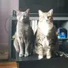 eva - @evajeanxo - TikTok