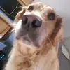 Evan Jeffs - @evanjeffs - TikTok