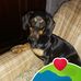 Eva Kael - Facebook