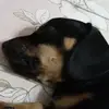 Eva_kail - @eva_kail - TikTok