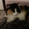 Eva Kammerer - @ekamm174 - TikTok