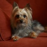 Eva Kaplan - @free2bfl1951 - Instagram