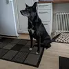 Eva Carlström - @eva.carlstrm - TikTok