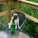Eva Karlström - @evakarlstrom1957 - Instagram