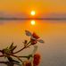 Eva Kauffman - Facebook