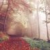 Eva Keene - Facebook