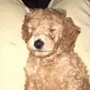 Eva Kemp - @e.elizabeth.k09 - TikTok