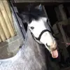 Eva🤠 - @eva.kendrickx - TikTok