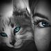 Eva Kent - Facebook