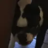 Evan Kersey - @evan.kersey0 - TikTok