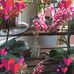 Eva Kidd - Facebook