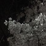 @___evakim - Instagram