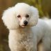 Eva Kimball Stallings - Facebook