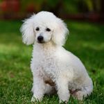 Eva Kimball-Stallings - @jennylenn728 - Instagram