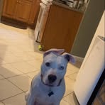 Evan Kinney - Facebook