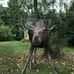 Eva Kling - Facebook