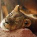 Eva Knapp - Facebook