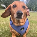 Eva Bea Knight - @evabeaknight.author - Instagram