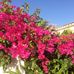 Eva Kolstad - Facebook