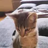 cooles gir - @eva.konrad - TikTok