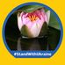 Eva-Karin Krantz - Facebook
