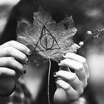Eva Kranz - Facebook