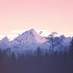 eva.kranz81310 - @eva.kranz81210 - Instagram