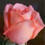 Ewa Kranz - Facebook