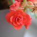 Ewa Krol - Facebook