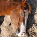 Eva Kruse - Facebook