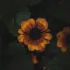 E.kuntz - @eva.kuntz2 - TikTok