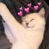 Eva Kunzek - @evakunzek - TikTok