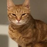 EvaKwan - @evakwan9597 - Instagram