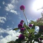 Eva  Kwok - @kwok7003 - Instagram