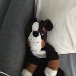 Eva labbé - @evalabbe2349 - Instagram
